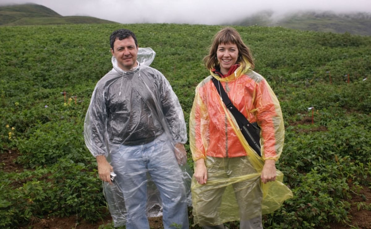 Neiker investiga los genes de patata que mejor se adaptan al cambio climático