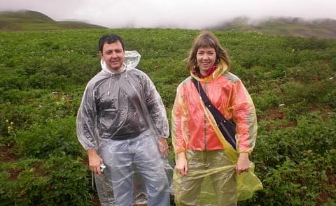 Neiker investiga los genes de patata que mejor se adaptan al cambio climático Neiker investiga los genes de patata que mejor se adaptan al cambio climático