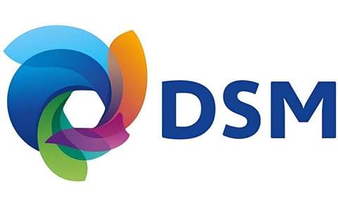 DSM Food Specialties awarded for PreventASe acrylamide mitigation enzyme DSM Food Specialties awarded for PreventASe acrylamide mitigation enzyme