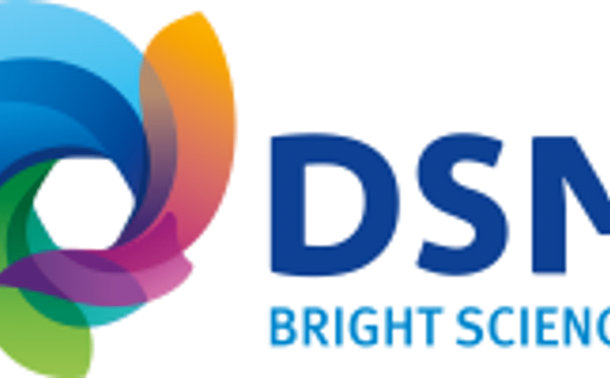 Nieuw logo voor DSM