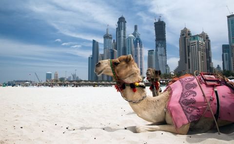 Gulfood Manufacturing will be held from October 31 to November 2, 2017 in Dubai. Gulfood Manufacturing will be held from October 31 to November 2, 2017 in Dubai.