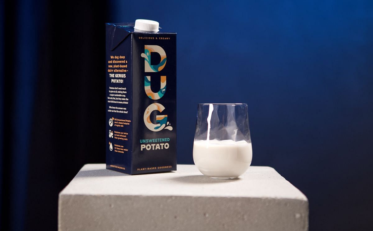 Dug Potato Milk