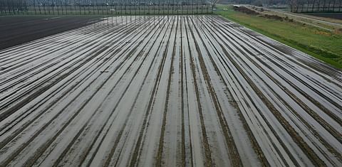 Holanda: situación climática adversa dificulta la cosecha (Cortesía: OAN Events)