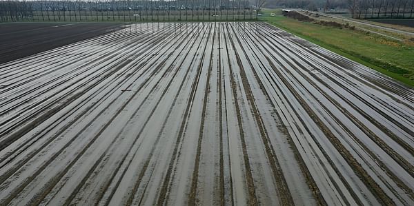 Netherlands: weather made the potato harvest very difficult