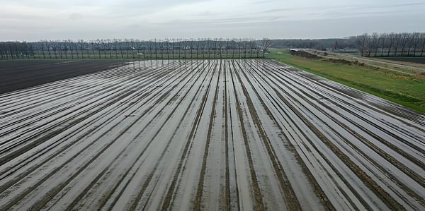 Netherlands: weather made the potato harvest very difficult