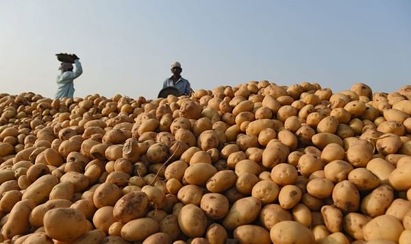 Dutch suppliers of the potato (processing) sector explore opportunities in India at the Global Potato Conclave