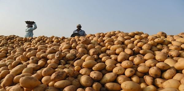 Dutch suppliers of the potato (processing) sector explore opportunities in India at the Global Potato Conclave