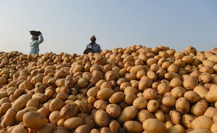 Dutch potato processing firms explore opportunities in India