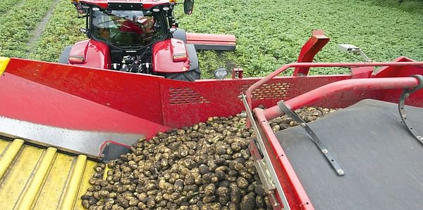Dutch Potato processing Industry approaches 4 million tons milestone