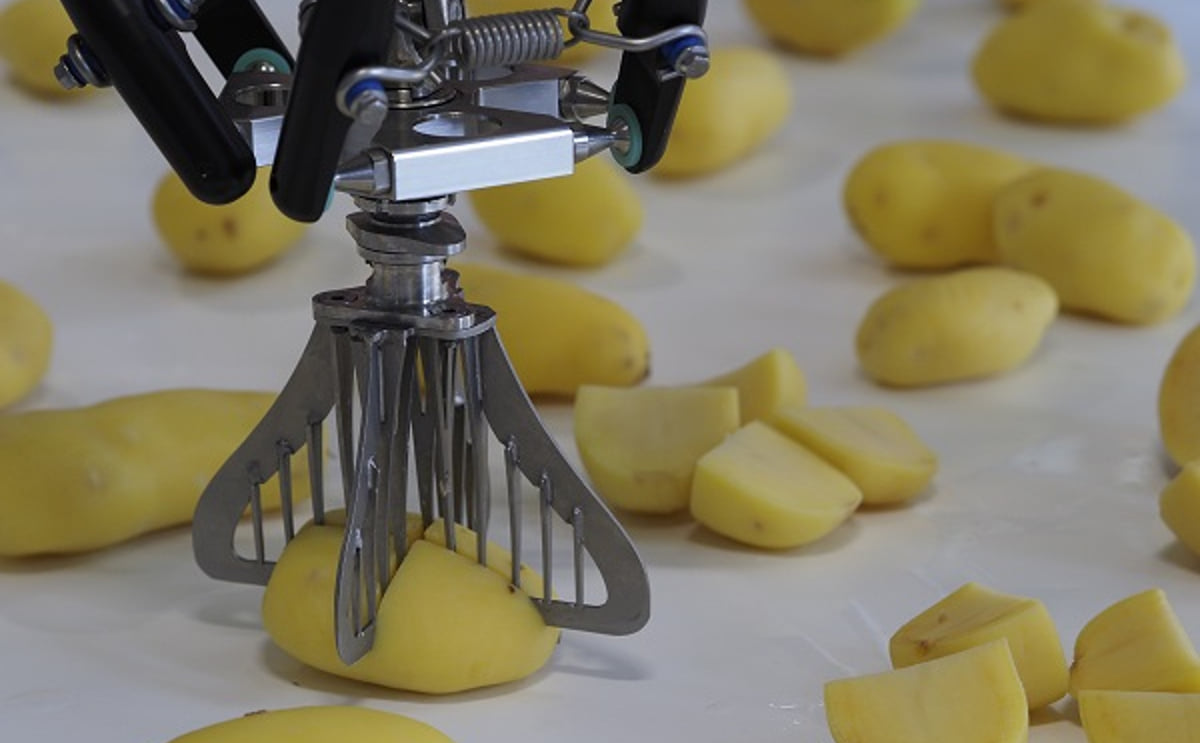Dutch potato processor designs slicer that proves to be surprisingly multifunctional Dutch potato processor designs slicer that proves to be surprisingly multifunctional