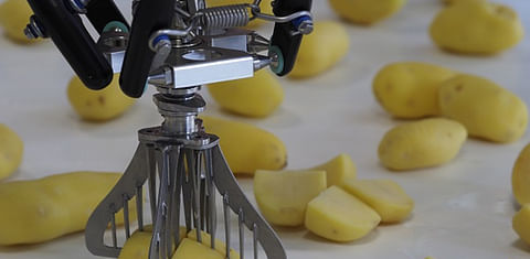 Dutch potato processor designs slicer that proves to be surprisingly multifunctional