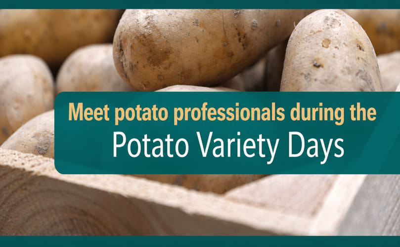 Dutch Potato Variety Days Showcasing the Future of Global Potato Innovation Dutch Potato Variety Days Showcasing the Future of Global Potato Innovation