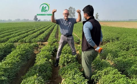 Dutch seed potato expert joins the Harinder Farms team in Jalandhar for on-field evaluations and technical discussions aimed at strengthening India’s seed potato pipeline. Dutch seed potato expert joins the Harinder Farms team in Jalandhar for on-field evaluations and technical discussions aimed at strengthening India’s seed potato pipeline.