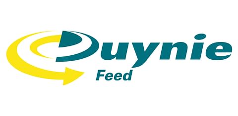 Duynie Feed Duynie Feed