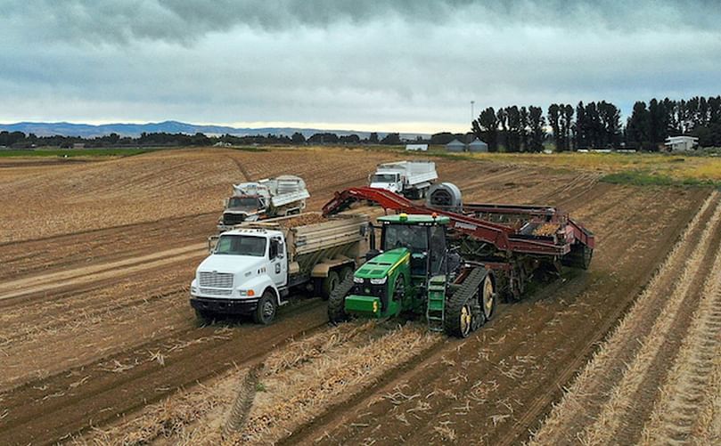 So far, the harvest has been going great for Eagle Eye Produce.