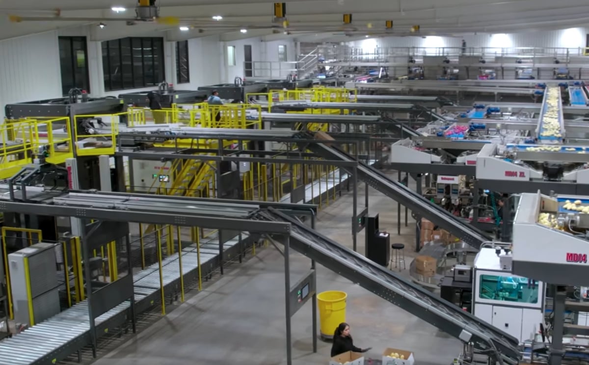 Eagle Eye Produce’s new potato packing facility in Idaho Falls, featuring automated packing lines and advanced grading technology.