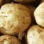 Early Potatoes