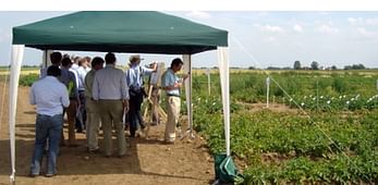 East Midlands Potato Day 2011