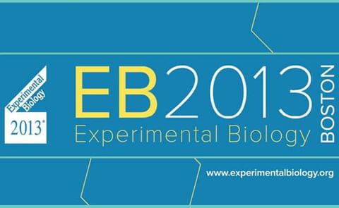 Potato consumption linked to increased intake of potassium. Potato consumption linked to increased intake of potassium.