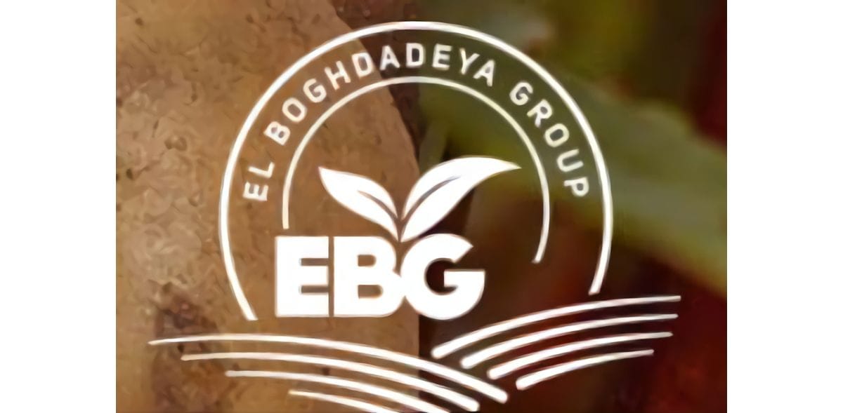 EBG (El Boghdadeya Group) EBG (El Boghdadeya Group)