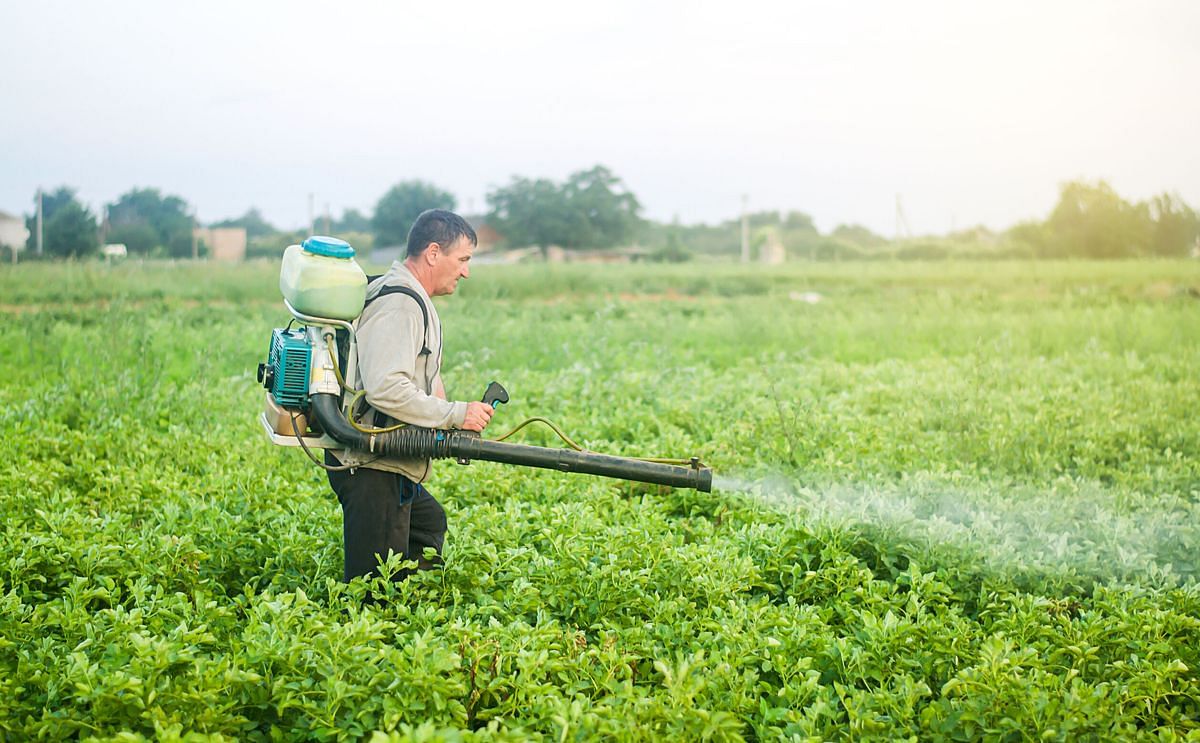 Edison releases global biopesticides market report – Feeding the World: Biological Products for Sustainable Crop Protection.
