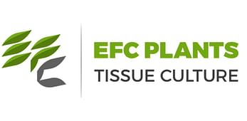 EFC Plants