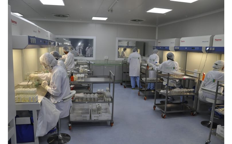 EFC Plants-Potato mini-tubers EFC Plants-Potato mini-tubers