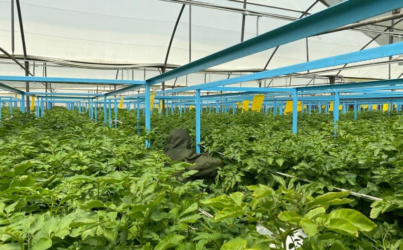 EFC Minituber Production EFC Minituber Production