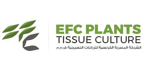 EFC Plants EFC Plants