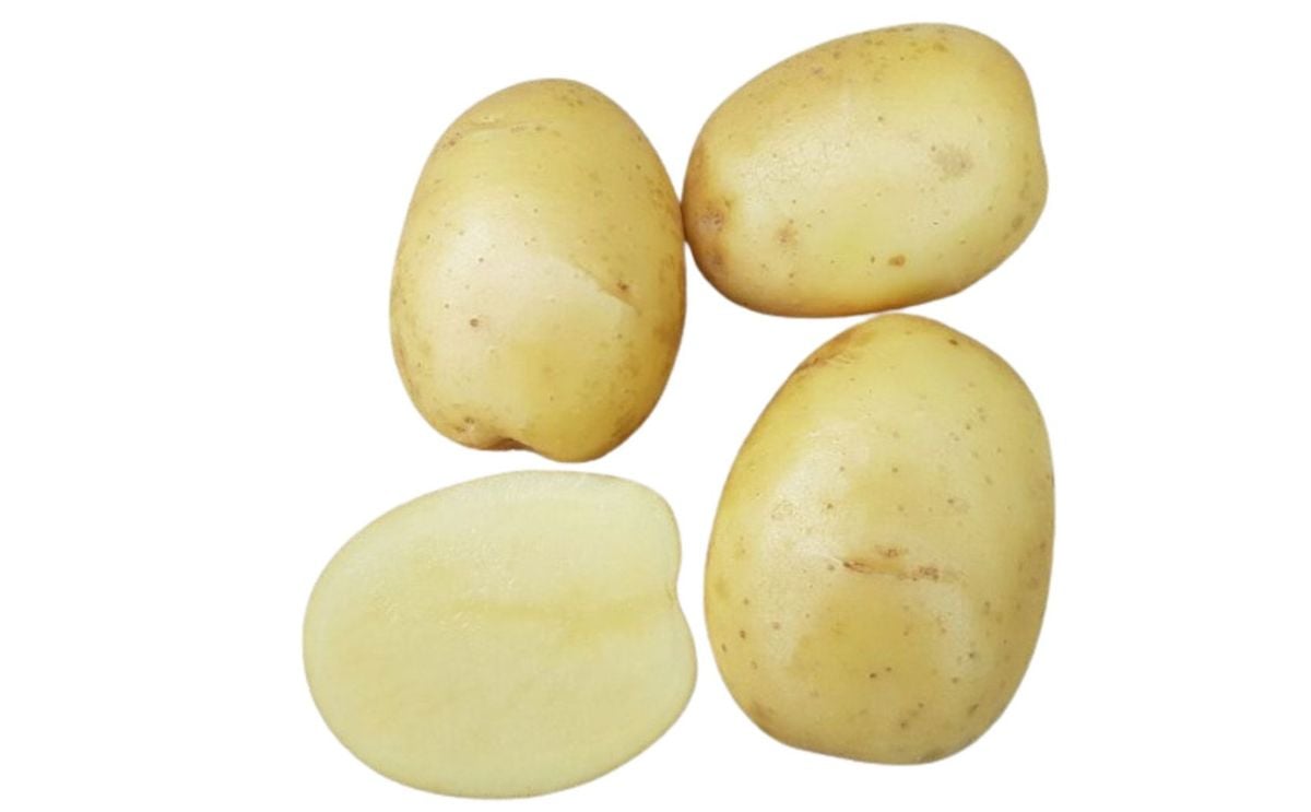 EFERA