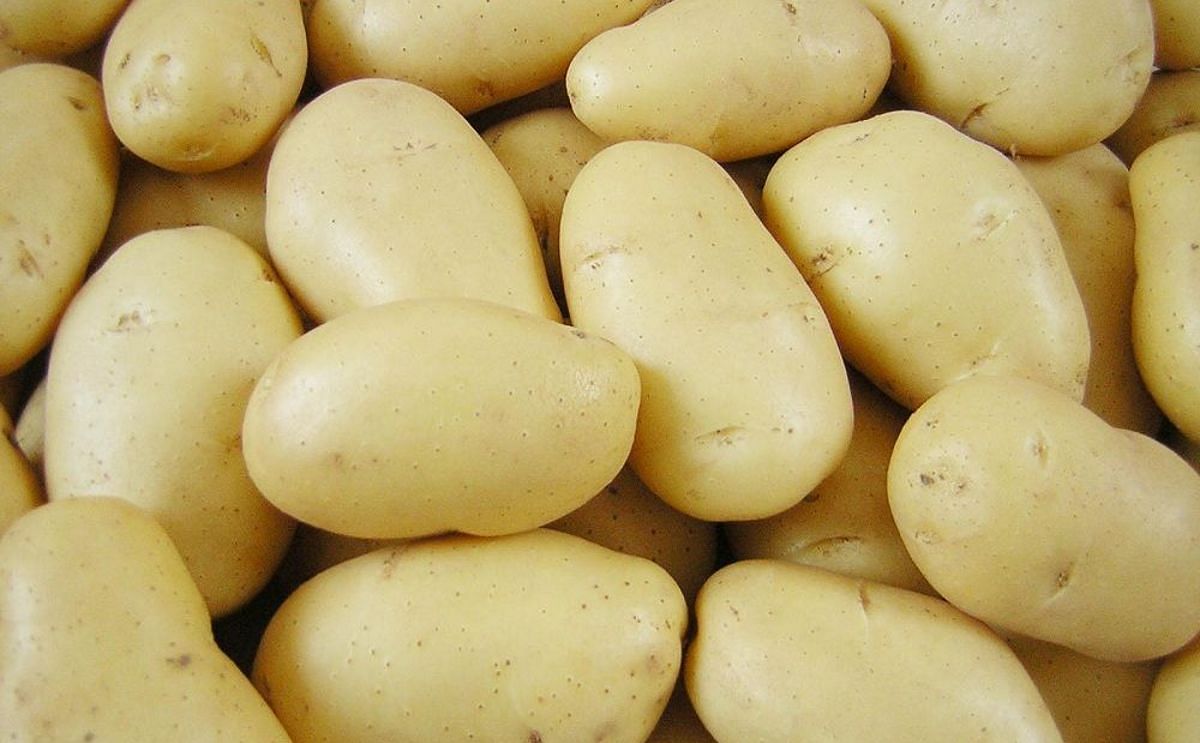 Egypt imported 131 thousand tons of seed potato and 25 thousand tons of frozen french fries and potato chips