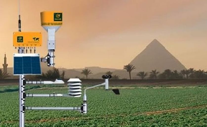 Potato Field in Egypt: Demonstration and testing site by a Dutch consortium evaluating an irrigation advisory system that will prevent both crop drought and salinity stress, while minimizing water losses (2013). 