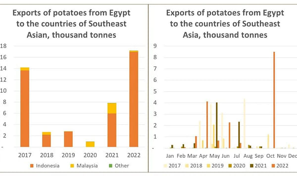 Egypt exported a record volume of potatoes to Southeast Asia in 2022