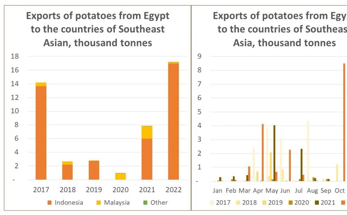 Egypt potatoes exported to Southeast Asia