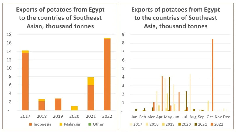 Egypt potatoes exported to Southeast Asia Egypt potatoes exported to Southeast Asia