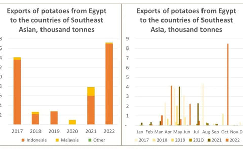 Egypt potatoes exported to Southeast Asia Egypt potatoes exported to Southeast Asia