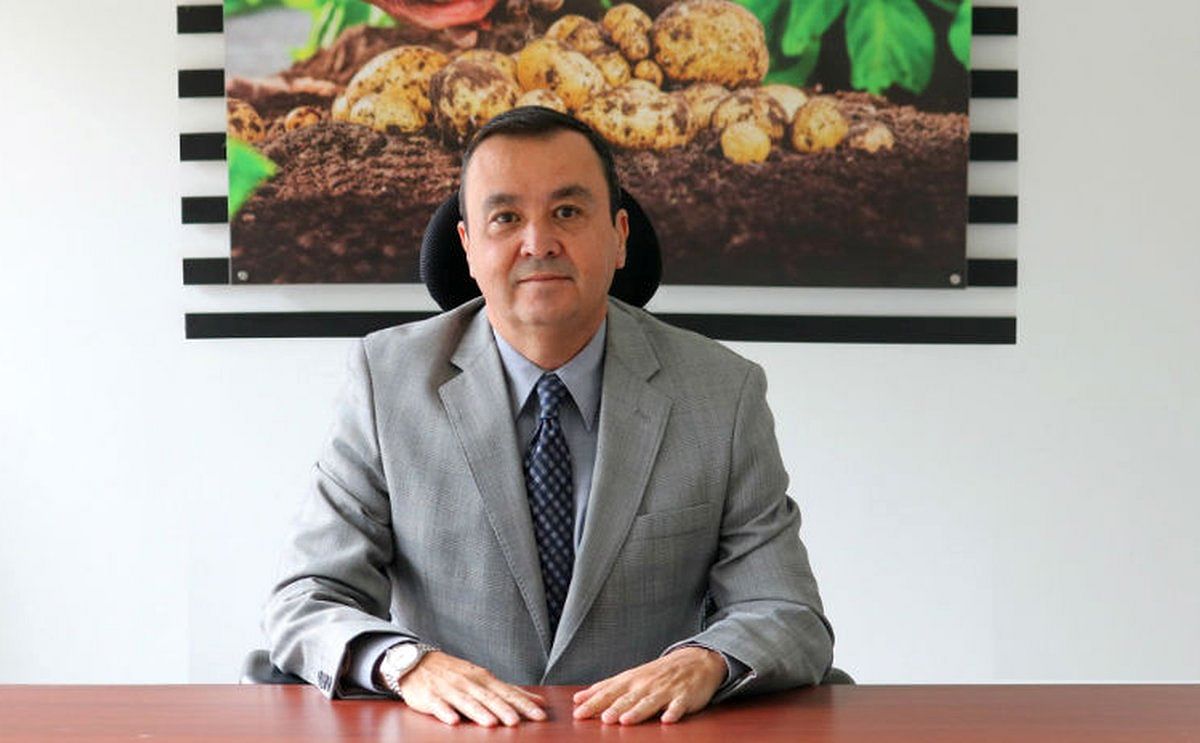El 80% de los paperos colombianos son pequeños agricultores El 80% de los paperos colombianos son pequeños agricultores