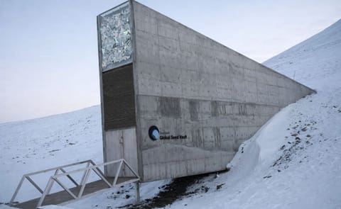 Imagen de la bóveda que guarda las mejores semillas del mundo en el Círculo Polar Ártico. / Global Crop Diversity Trus Imagen de la bóveda que guarda las mejores semillas del mundo en el Círculo Polar Ártico. / Global Crop Diversity Trus