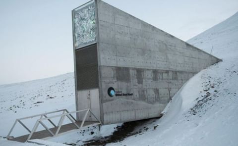 Imagen de la bóveda que guarda las mejores semillas del mundo en el Círculo Polar Ártico. / Global Crop Diversity Trus Imagen de la bóveda que guarda las mejores semillas del mundo en el Círculo Polar Ártico. / Global Crop Diversity Trus