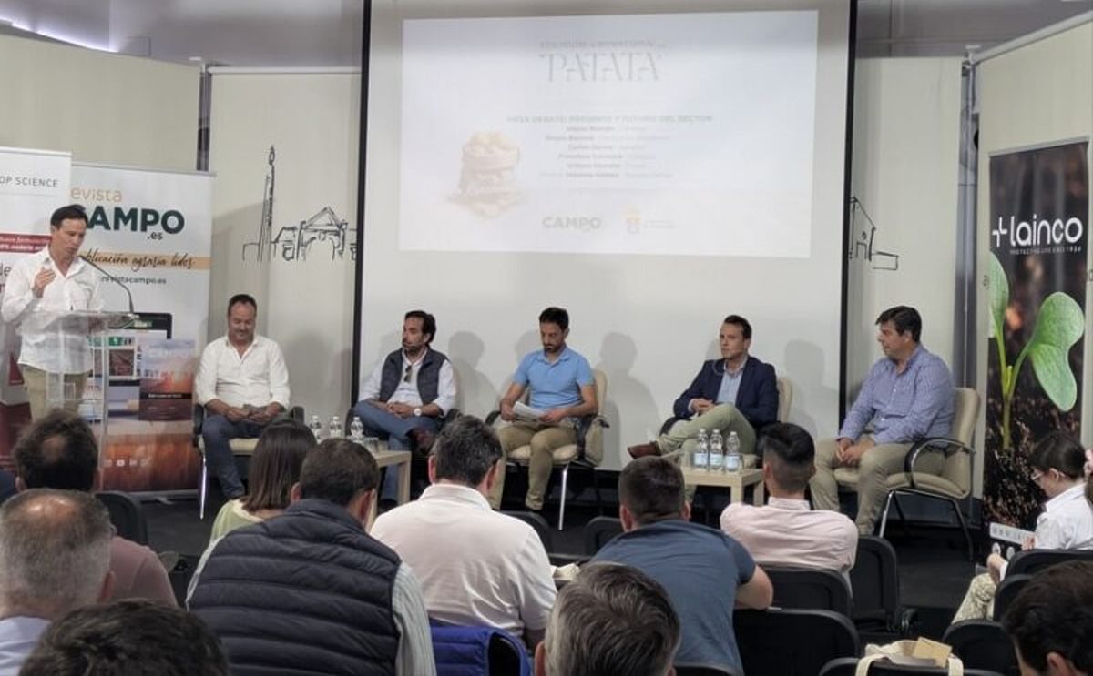 El II Encuentro Agroprofesional de la Patata ha reunido a más de un centenar de agricultores y técnicos para debatir sobre el estado actual del cultivo, las amenazas sanitarias y los retos de la sostenibilidad agraria. El II Encuentro Agroprofesional de la Patata ha reunido a más de un centenar de agricultores y técnicos para debatir sobre el estado actual del cultivo, las amenazas sanitarias y los retos de la sostenibilidad agraria.