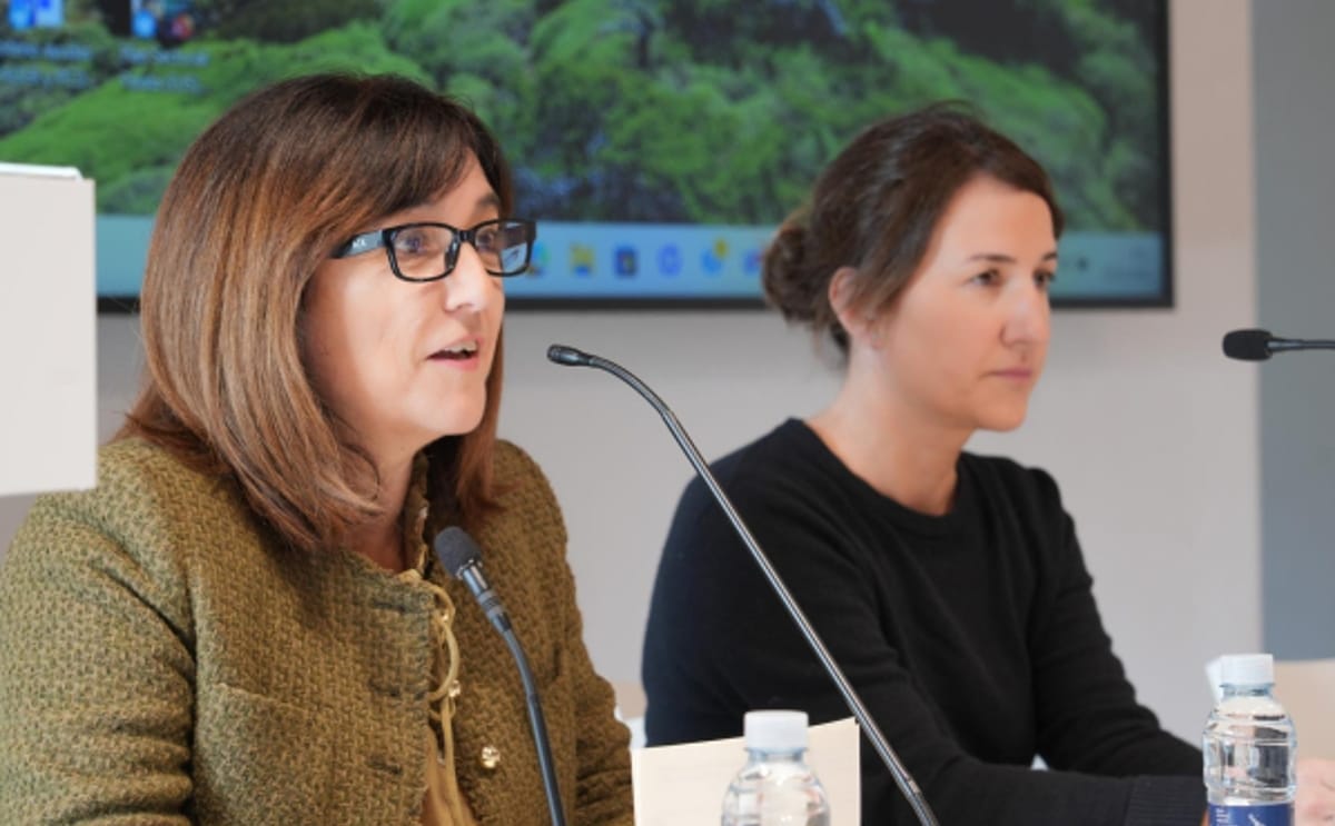 El Gobierno Vasco impulsa el Plan de la Patata con fuerte apoyo del sector El Gobierno Vasco impulsa el Plan de la Patata con fuerte apoyo del sector