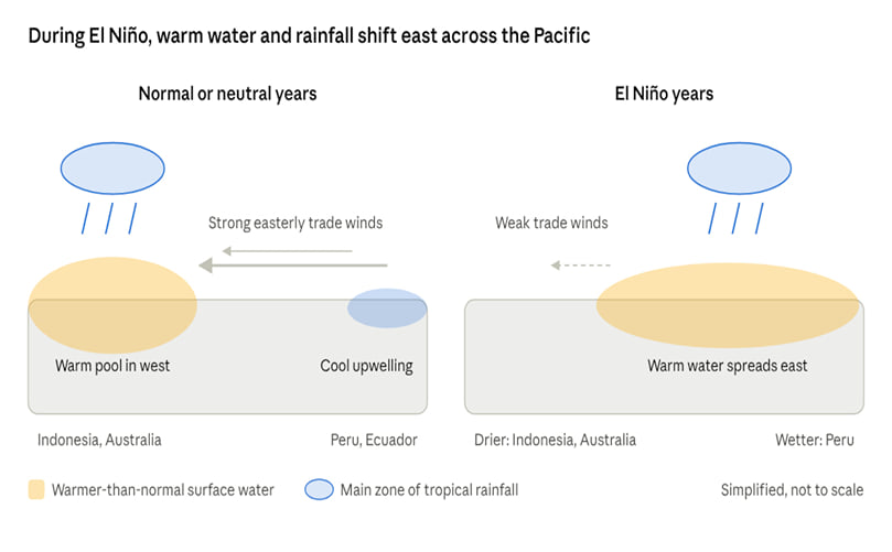 When the trade winds weaken, the Pacific warm pool and its rainfall move east, reshaping weather around the world.