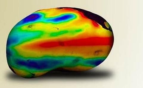 Llegada de El Niño es amenaza y oportunidad para agricultores Llegada de El Niño es amenaza y oportunidad para agricultores