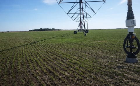 El pivot del futuro: riega, monitorea el suelo y genera energía El pivot del futuro: riega, monitorea el suelo y genera energía