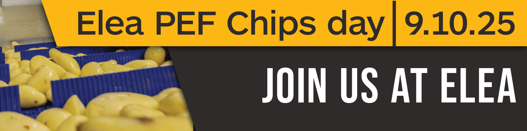 Elea - Leaderboard - 20250909