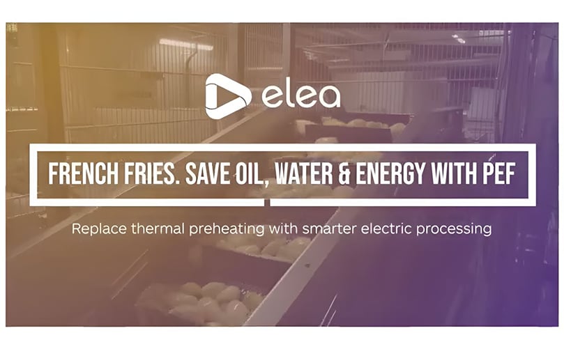 PEF savings for French fries - Save oil, water and energy PEF savings for French fries - Save oil, water and energy