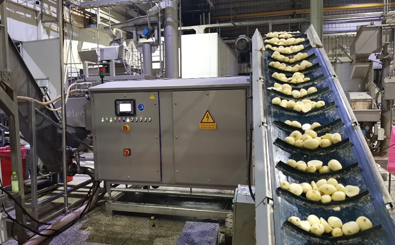 Elea PEF Advantage B1 installed in Liwayway´s potato chips line Elea PEF Advantage B1 installed in Liwayway´s potato chips line