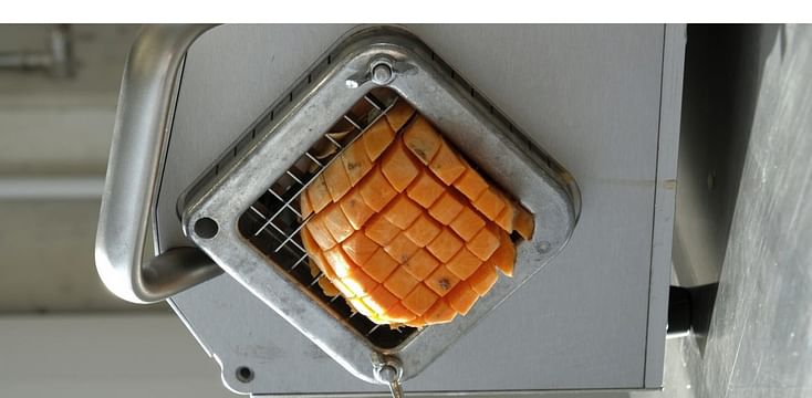 Online PEFinar: Discover Pulsed Electric Field Technology for Fruit & Vegetable processing