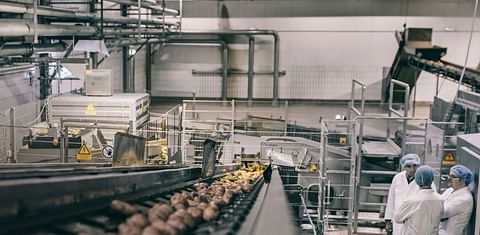 Application of PEF in French Fries production: an Elea / Wernsing success story since 2012