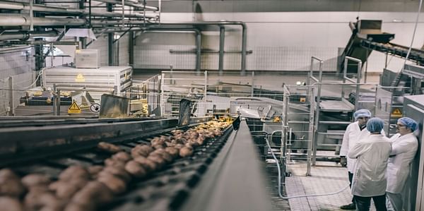 Application of PEF in French Fries production: an Elea / Wernsing success story since 2012